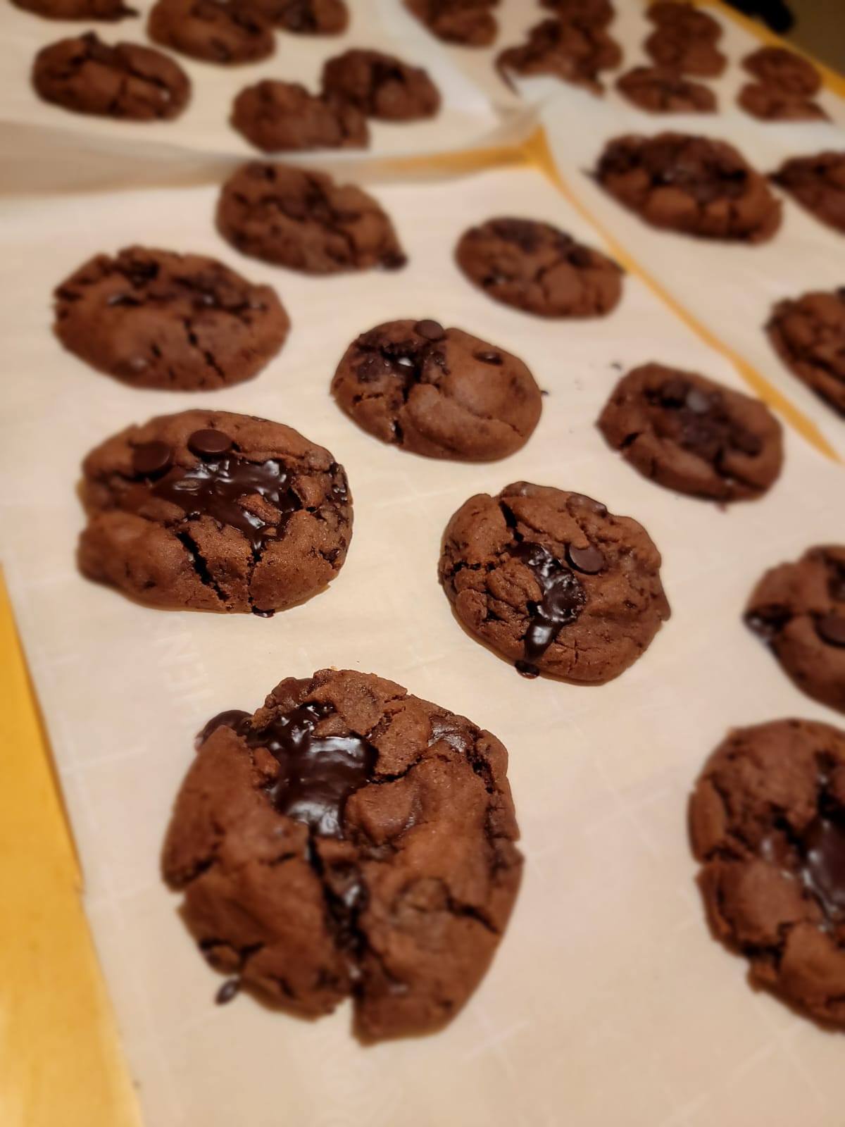 Chocolate Chip Cookies